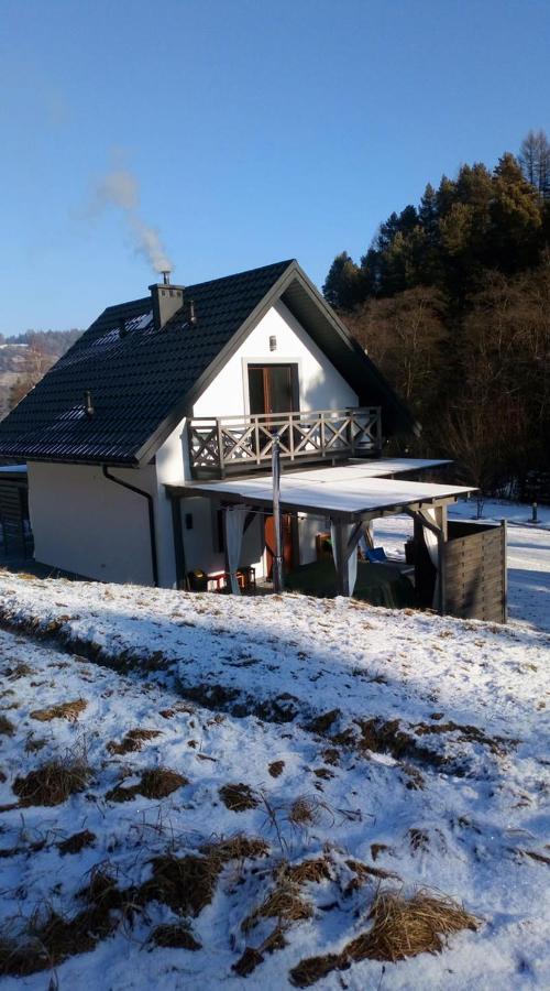 Lesny Zaulek Villa Muszyna Exterior photo